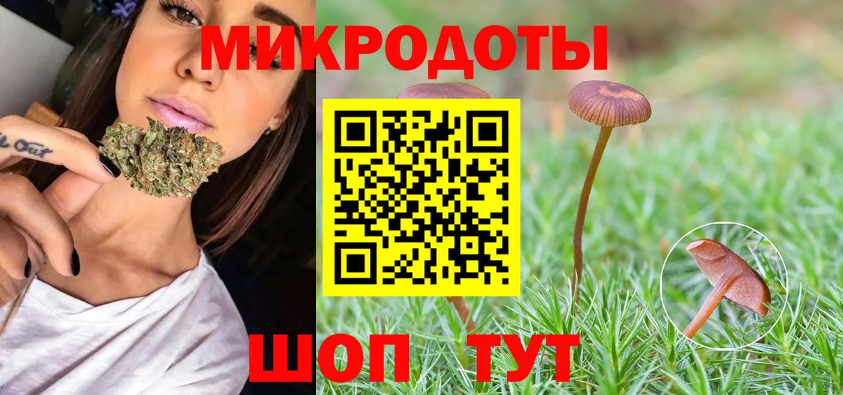 Галлюциногенные грибы мицелий Кулебаки