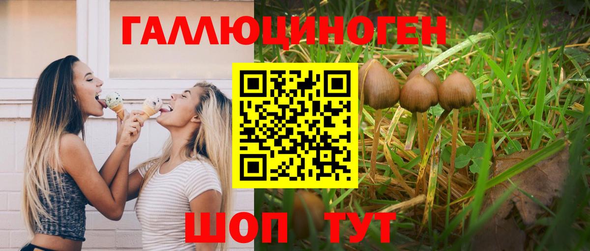 Кулебаки  Псилоцибиновые грибы MAGIC MUSHROOMS  Вход с VPN 